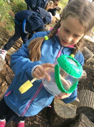 Minibeast Hunt in P3!
