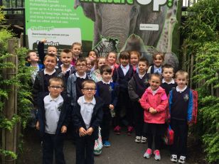 P2's Trip to Belfast Zoo